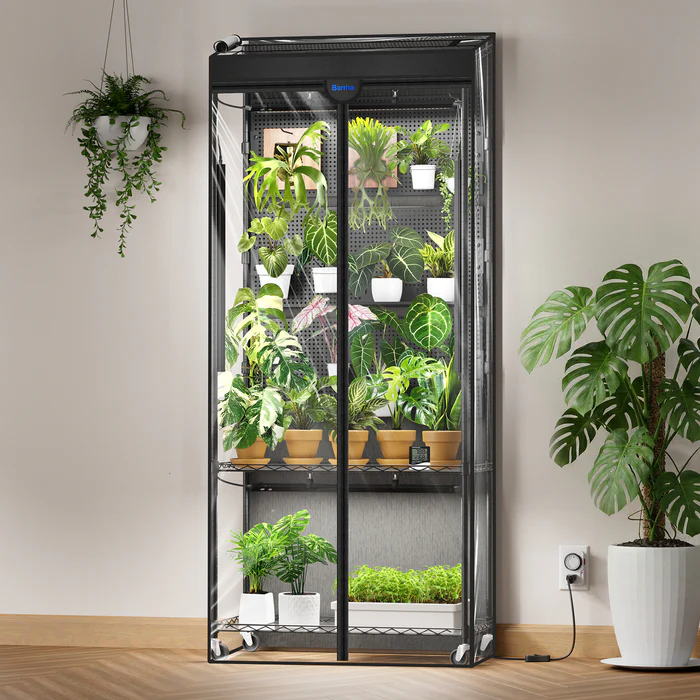 Barrina LED Lights Review