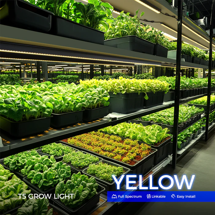 Barrina LED Lights Review