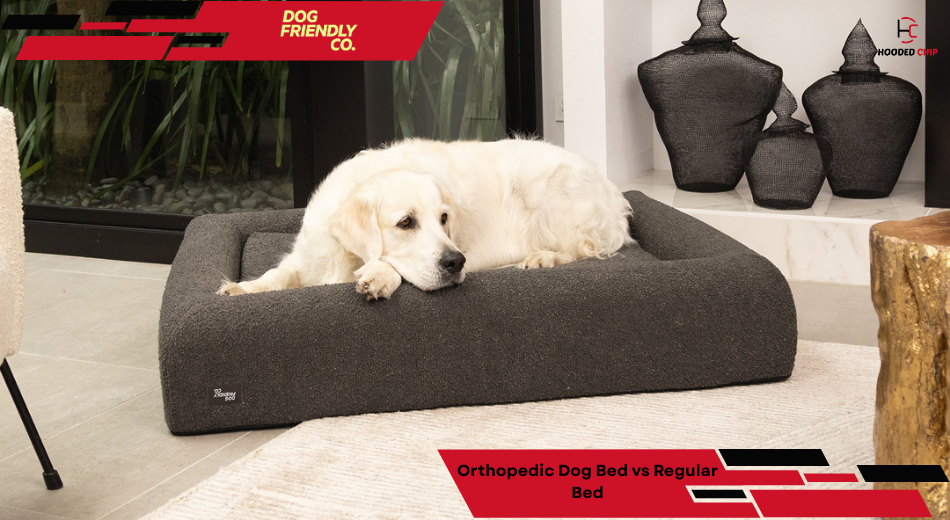 Orthopedic Dog Bed vs Regular Bed
