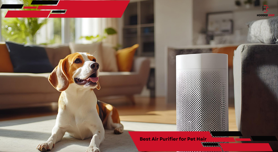 Best Air Purifier for Pet Hair