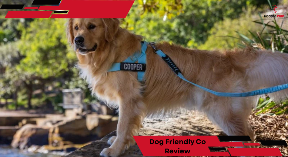 Dog Friendly Co