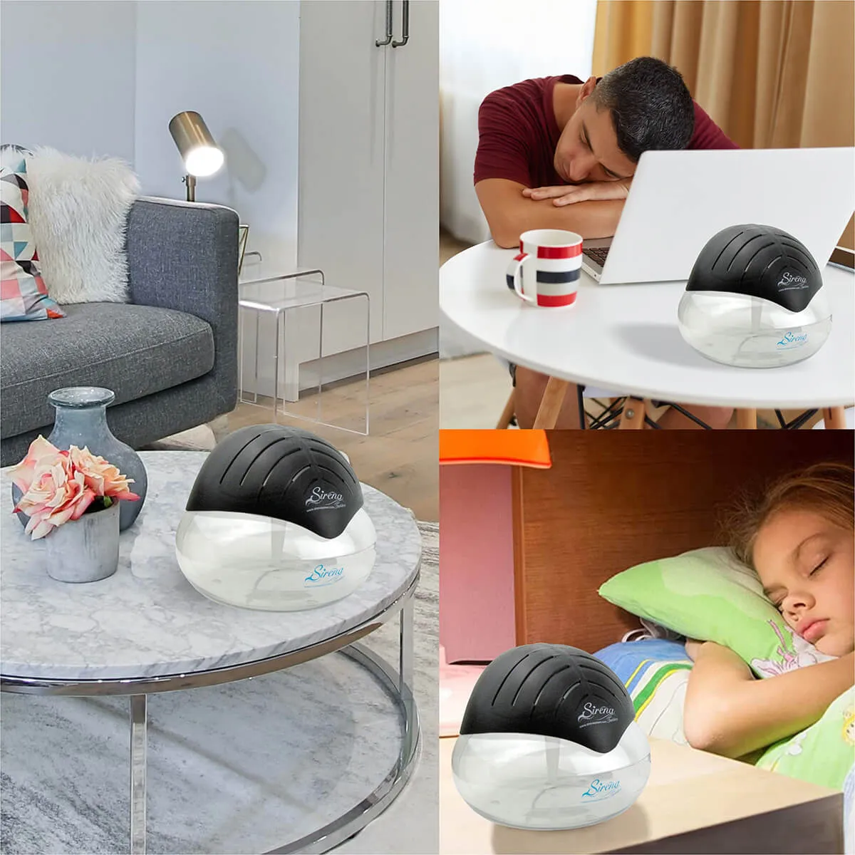 Best Air Purifier for Pet Hair